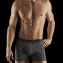 Aubade Men Boxer Homme Iconic