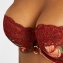 Aubade Soutien-Gorge Corbeille Armatures Sweet Folk Sienna