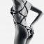 Boite  Dsir AUBADE Body Belle de Nuit
