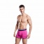 Boxer EDEN PARK E644E91 Rose Bonbon - TULIPE