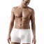 Boxer IMPETUS Cotton Stretch Blanc