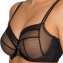 PRIMADONNA TWIST Soutien-Gorge Armatures I Want You Noir