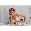 Soutien-Gorge armatures Rosa Faia Fleur Rose Poudr
