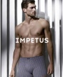 Boxers Impetus